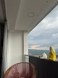 Jack_krimmer — 在 stripchat 直播的网络摄像头模特