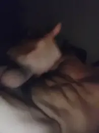 NastyNoon12 — Stripchat stream photo (Jun 2026)
