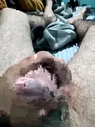 paudeliciosoo — Stripchat stream photo (Sep 2025)