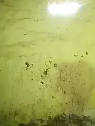 YourTeenBoy21 — Stripchat stream photo (Apr 2026)