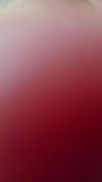 jolydon4 — Cam4 stream photo (Jun 2026)