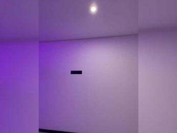 Potifays — Bongacams stream photo (Mar 2026)