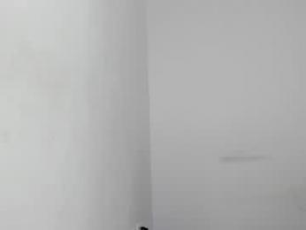 tamy_leen — Chaturbate stream photo (Apr 2026)