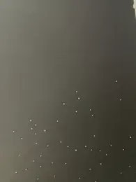 Just-Lilly — Stripchat stream photo (Feb 2026)