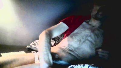 Lngdckparis — Cam4 stream photo (Feb 2026)