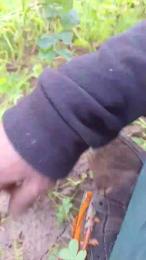 Lurio — Cam4 profile photo