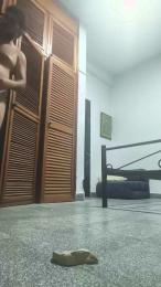 bearvzlat — Cam4 stream photo (Aug 2026)