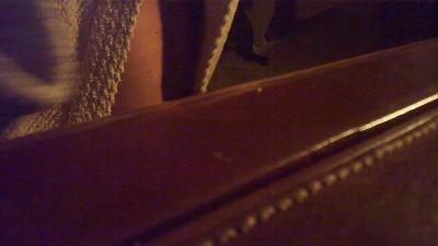 wonderfulcok — Cam4 stream photo (Aug 2026)