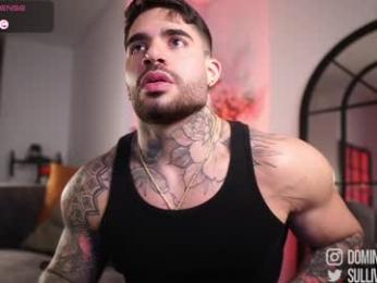 dominic_sullivan1 — 在 chaturbate 直播的网络摄像头模特
