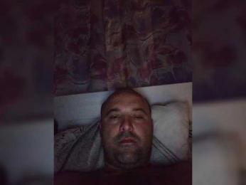 Alimel — bongacams