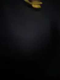 Naim_TheKing — 在 stripchat 直播的网络摄像头模特