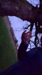 Gym2 — Cam4 profile photo