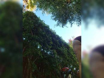 Prurient-Gem — Bongacams stream photo (Jul 2023)