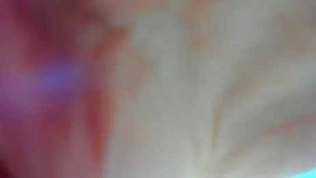 AishaRouhi — 在 stripchat 直播的网络摄像头模特