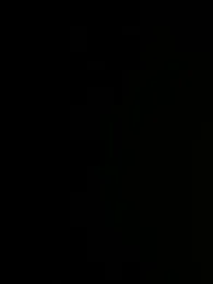 gerrelli — Stripchat stream photo (Aug 2026)