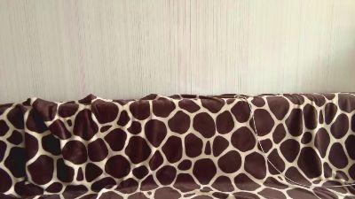 Lil_PUSS_XOO — Cam4 stream photo (Apr 2026)