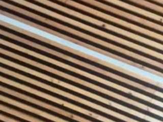 nerdgirl314 — 在 camsoda 直播的网络摄像头模特