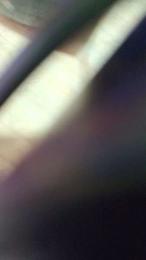 Hade06 — Cam4 profile photo