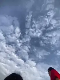 RoomExotic11 — Stripchat stream photo (Mar 2026)