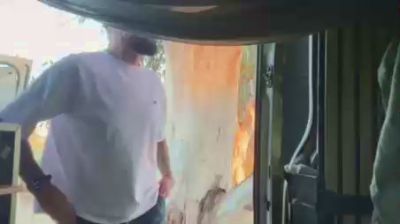 MascVersFFun — 在 cam4 直播的网络摄像头模特