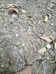 EsDezz88 — Stripchat stream photo (Aug 2025)