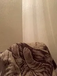 veilofstrength — Stripchat stream photo (Apr 2026)