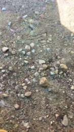 spanish55 — Cam4 stream photo (Feb 2026)