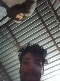 Raj_boy77 — Stripchat stream photo (Jun 2026)