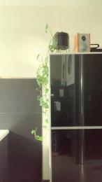 baukerl75 — Cam4 stream photo (Apr 2026)