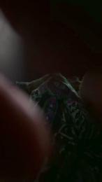 Klt0805 — Cam4 stream photo (Apr 2026)