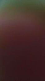 Meiglace — Cam4 stream photo (Jul 2025)