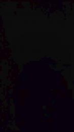 vogliadi6 — Cam4 stream photo (Aug 2026)
