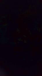 vogliadi6 — Cam4 stream photo (Aug 2026)