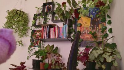 talimajesty — Cam4 stream photo (Mar 2026)