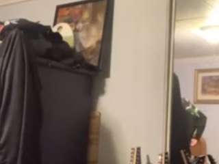 mattskorner69 — Camsoda stream photo (Nov 2025)