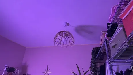 _vixenp — 在 stripchat 直播的网络摄像头模特