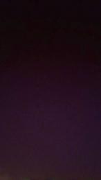 Nersugolg — Cam4 stream photo (Jan 2026)