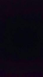 Duroabbestia2 — Cam4 stream photo (May 2026)