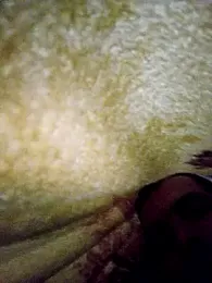 Jozipp — Stripchat stream photo (Jun 2025)