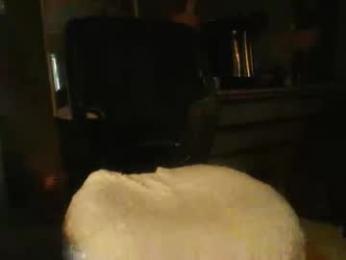 dannyb618 — Chaturbate stream photo (Feb 2026)