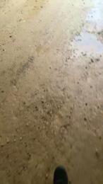 Adomgt — Cam4 stream photo (Dec 2025)