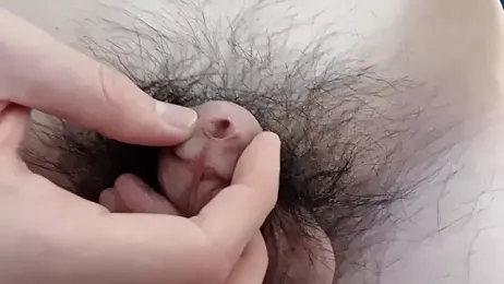 xiaoyang5200 — Stripchat stream photo (Feb 2026)