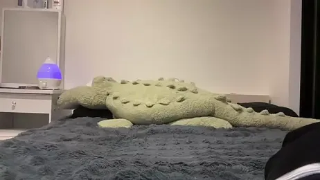 tora3220 — Stripchat stream photo (Feb 2026)