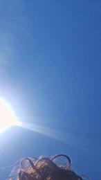 naturist__xl — 在 cam4 直播的网络摄像头模特