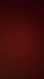 Nessquirt — Cam4 stream photo (Dec 2025)