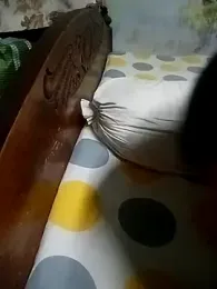 sajida34 — Stripchat stream photo (Apr 2026)