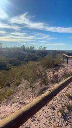 Laoquedad — 在 cam4 直播的网络摄像头模特