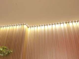 sophiepalmerx — Camsoda stream photo (May 2026)
