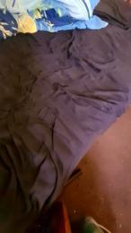 Falk1988 — Cam4 stream photo (Aug 2026)