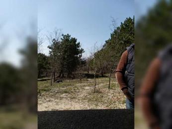 ___Pypsiki___ — 在 bongacams 直播的网络摄像头模特